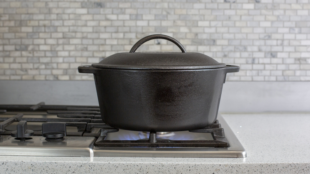 Lodge 5 Quart Cast Iron Dutch Oven. Pre-Seasoned Pot with Lid and Dual Loop  Handle